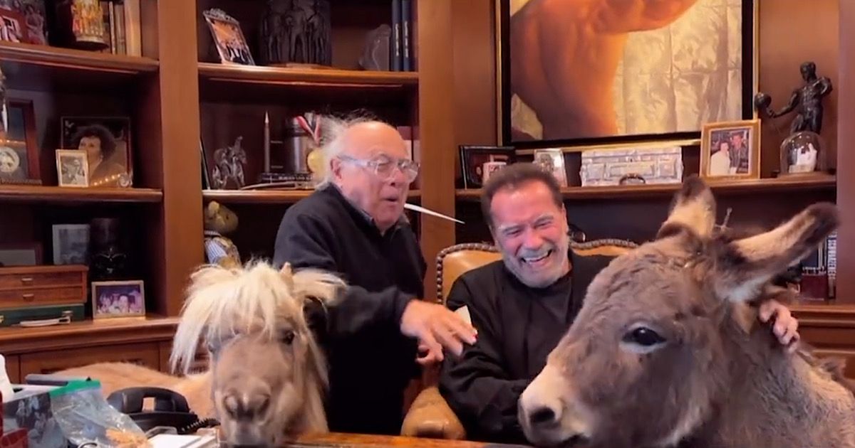 Arnold Schwarzenegger And Danny Devito Have Surprise Twins Reunion In