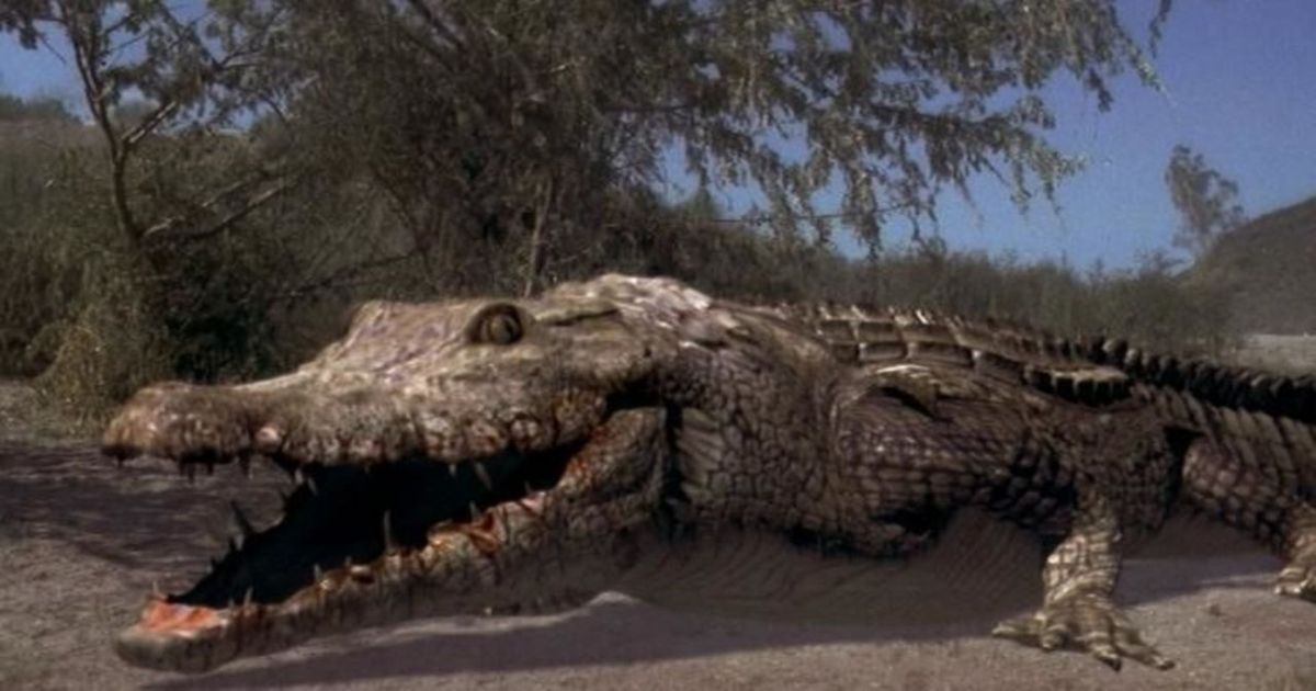 Crocodile 2000