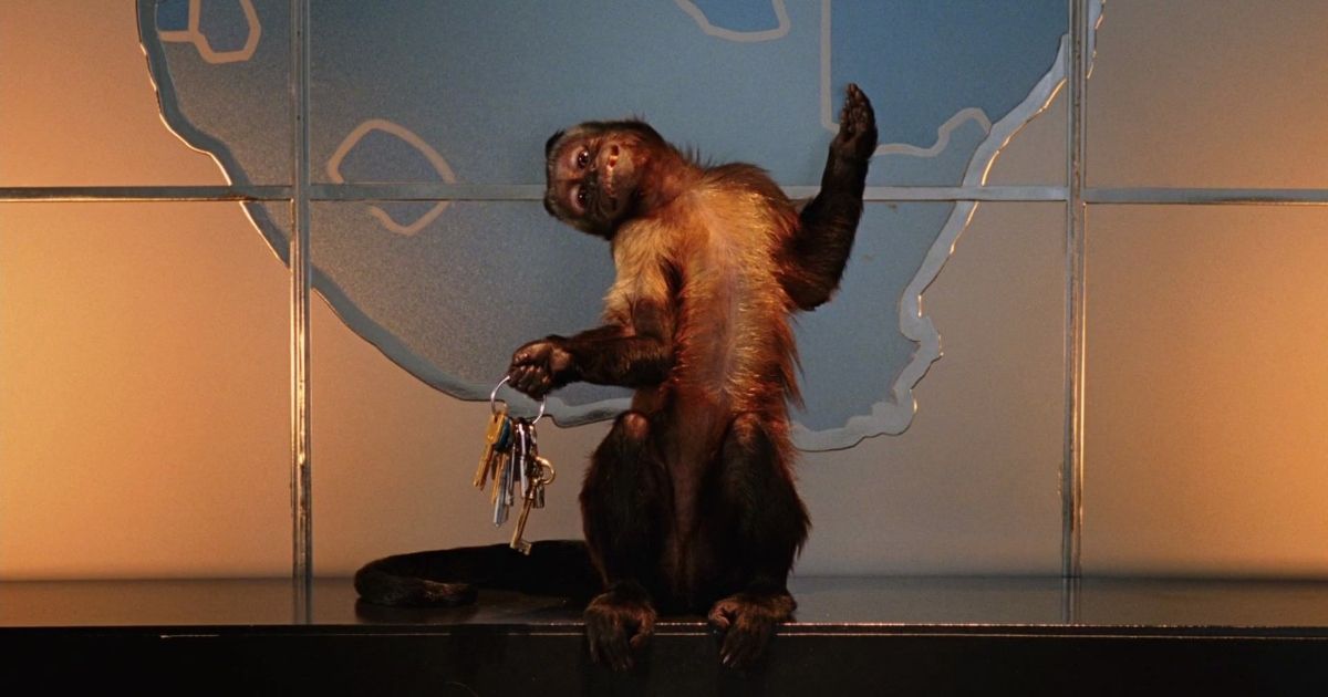 Dexter the monkey Night at the Museum