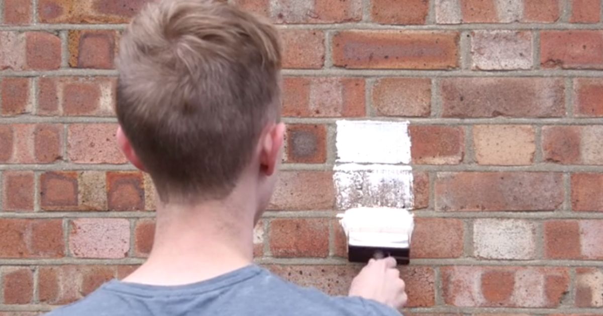 Paint Drying The Greatest Cinematic Protest in History, Explained