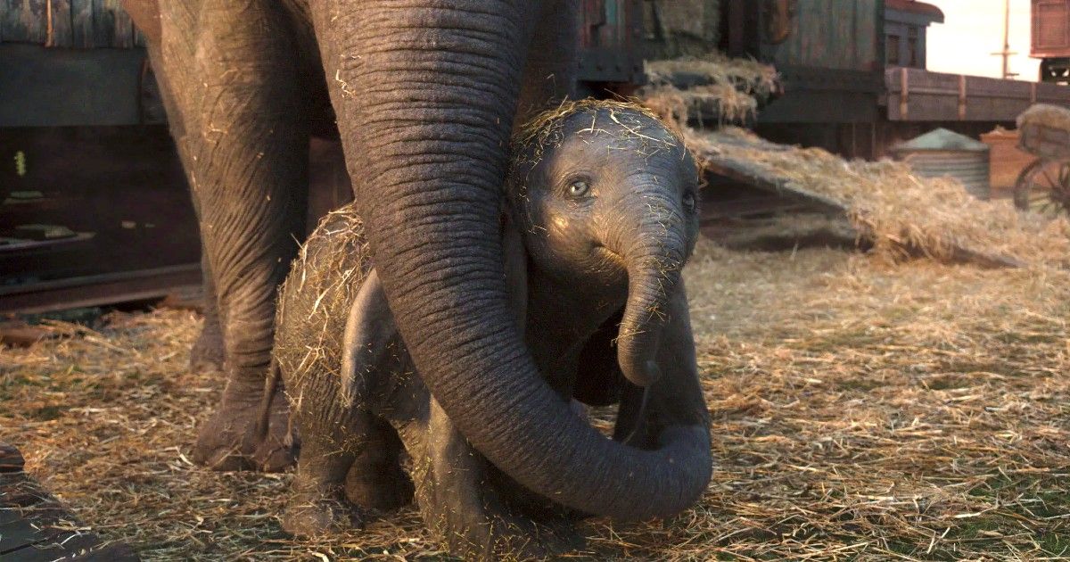Mama and baby in Disney's live-action Dumbo remake