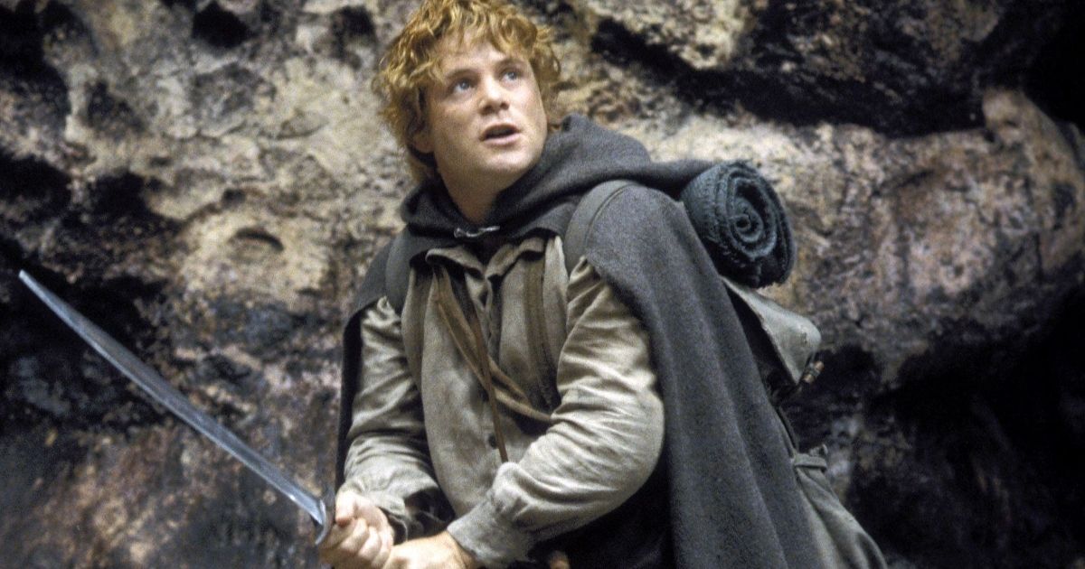 Lord of the Rings Sean Astin