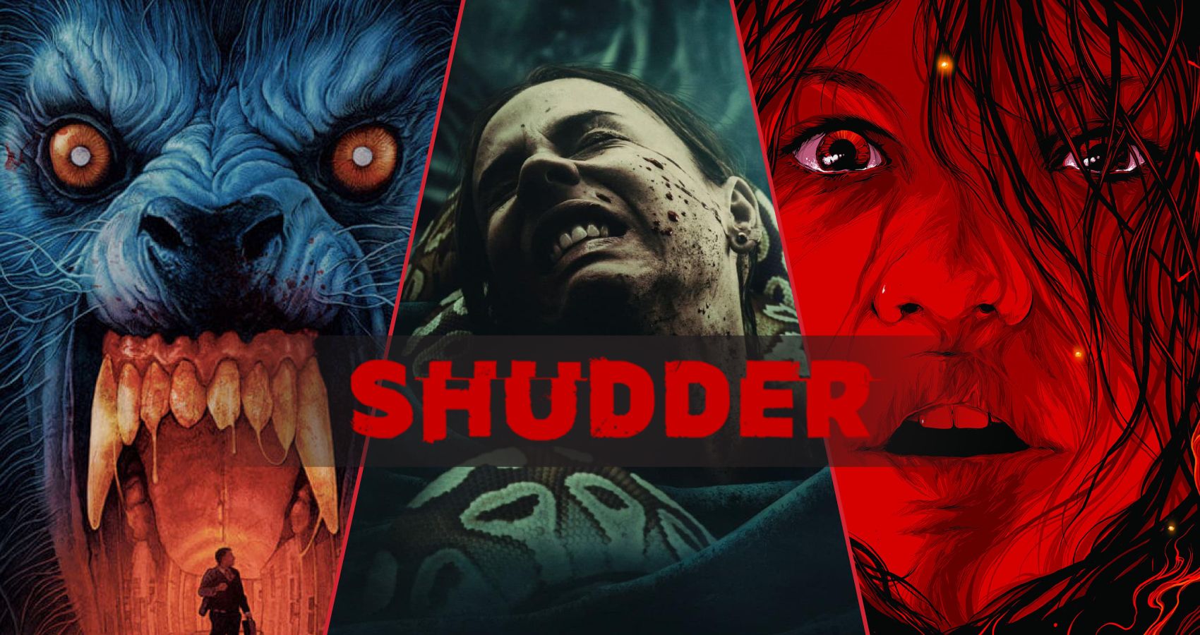 Best Movies Coming to Shudder June 2023 An American Werewolf in London, Quicksand, The Devil's Candy