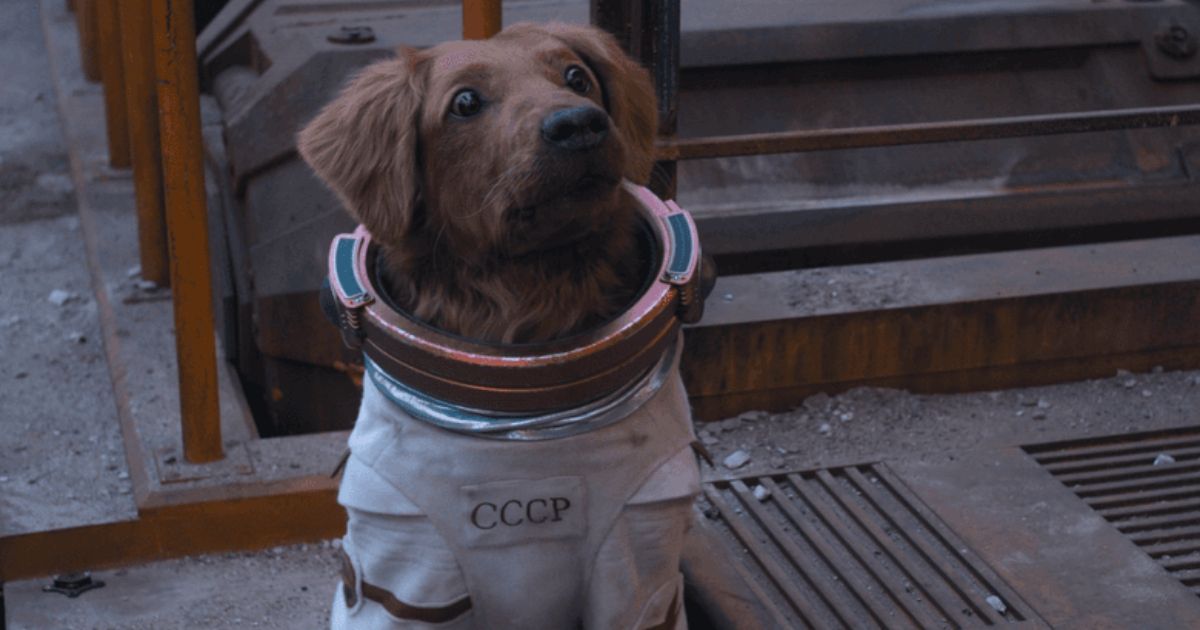 Cosmo the Spacedog from Guardians of the Galaxy
