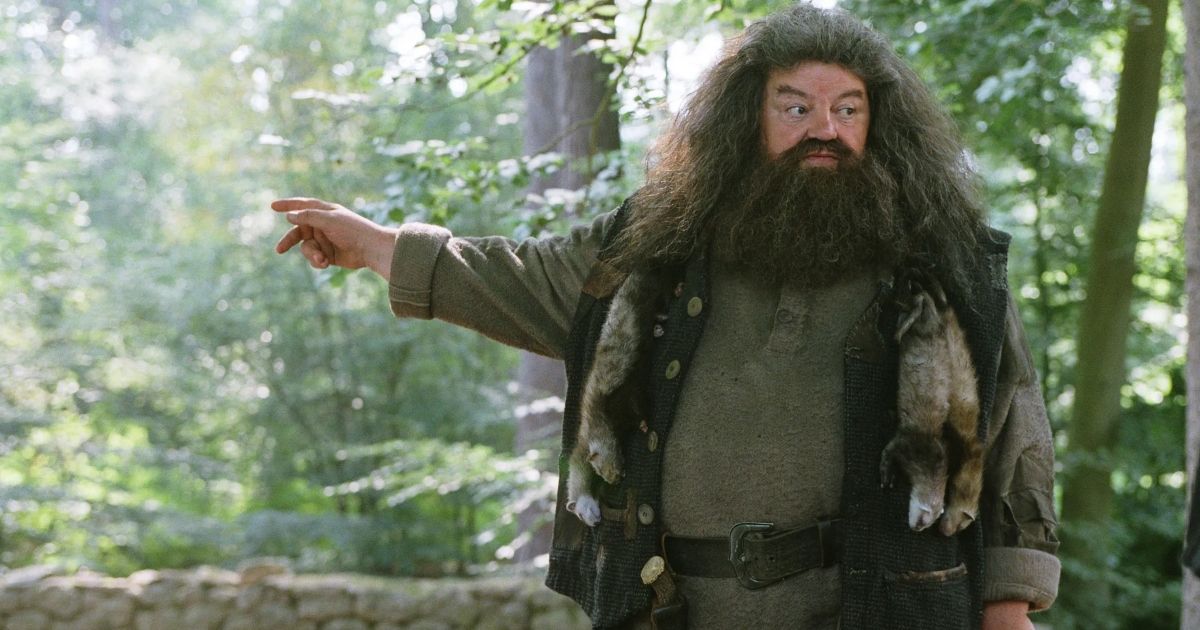 Robbie Coltrane as Rubeus Hagrid