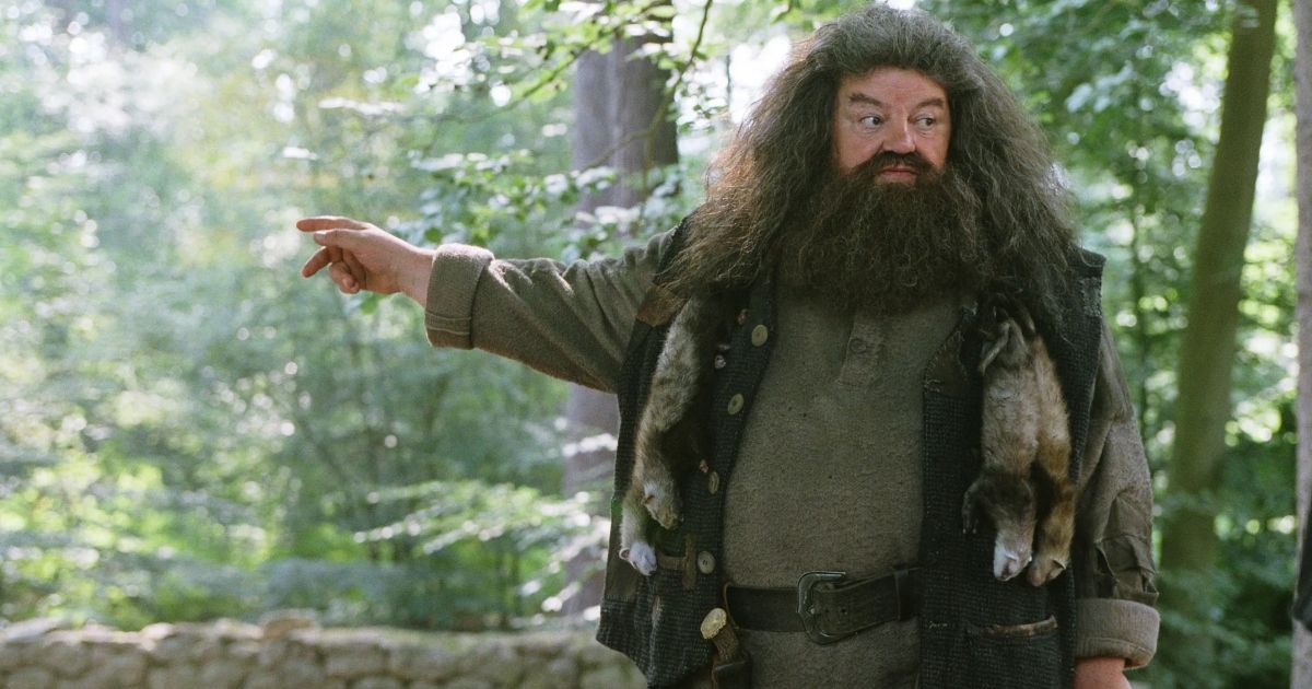 Exclusive Rubeus Hagrid Costume Guide Welcome All Harry Potter Fans