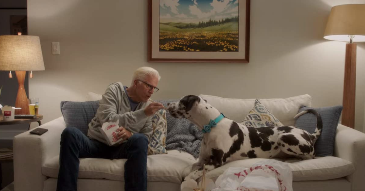 Ted Danson is in the good place