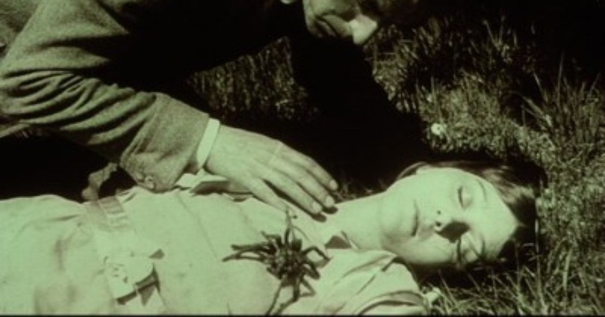 Spiders by Fritz Lang