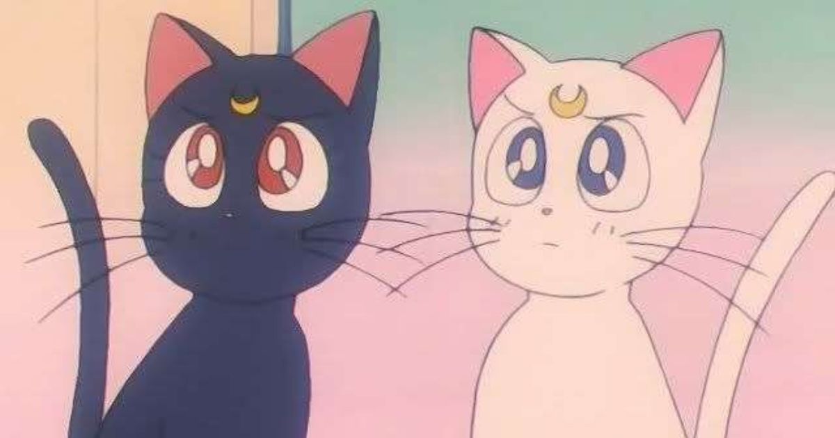 Luna y Artemisa en Sailor Moon