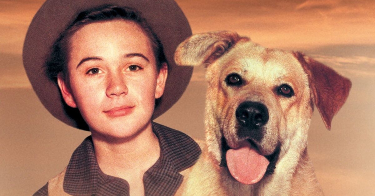 Tommy Kirk and Spike in Old Yeller (1957)