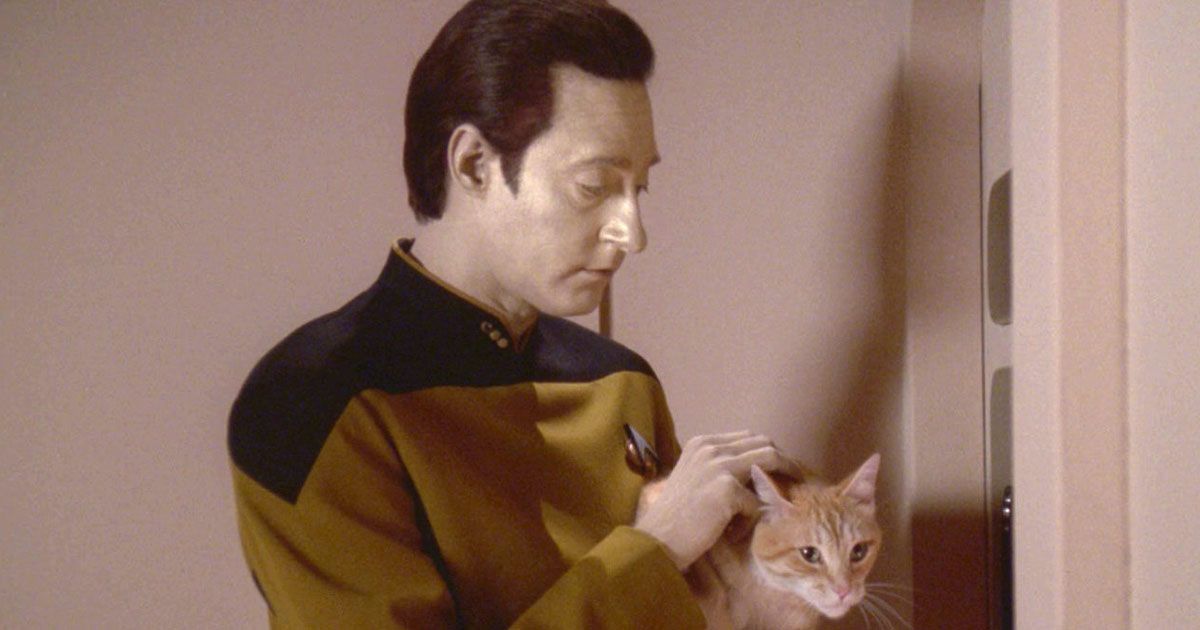 Data and Spot TNG
