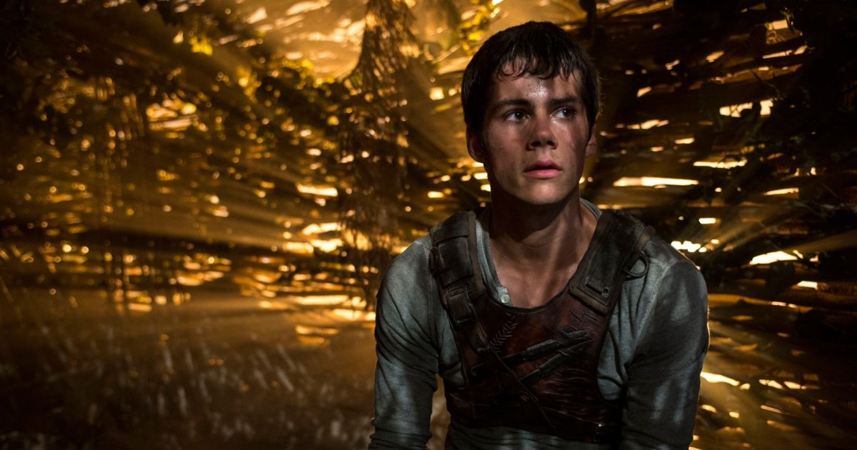 Dylan O'Brien as Thomas entering the Glade for the first time