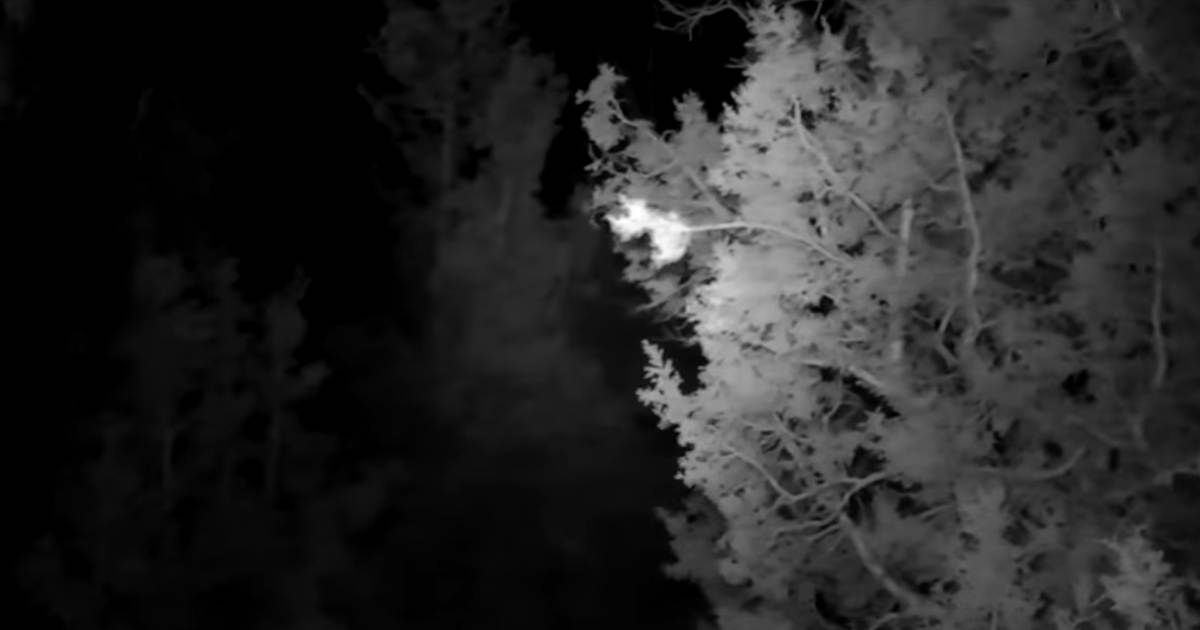 Horror in the High Desert Creepiest Moments, Ranked