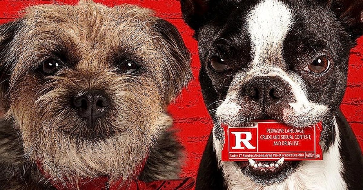 Strays Director Says RRated Dog Movie Is a Metaphor for Toxic