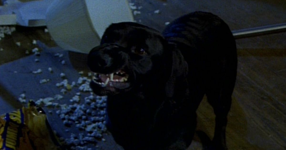 Un chien noir qui grogne dans Chair de poule (1995-1998).