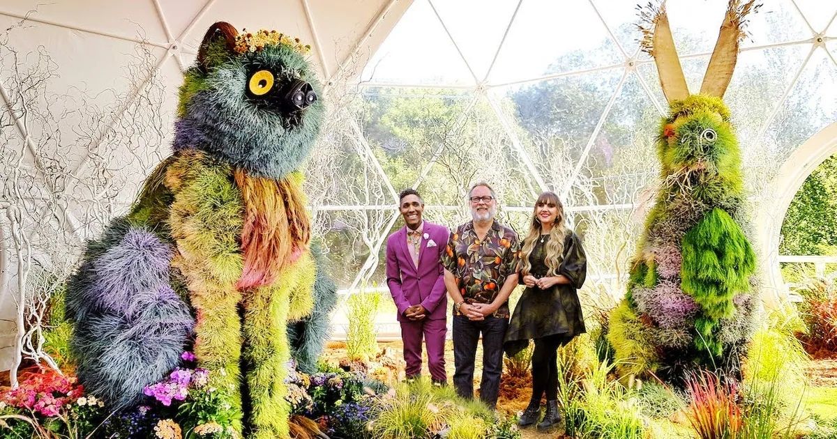 Best Reality Competition Shows on Netflix