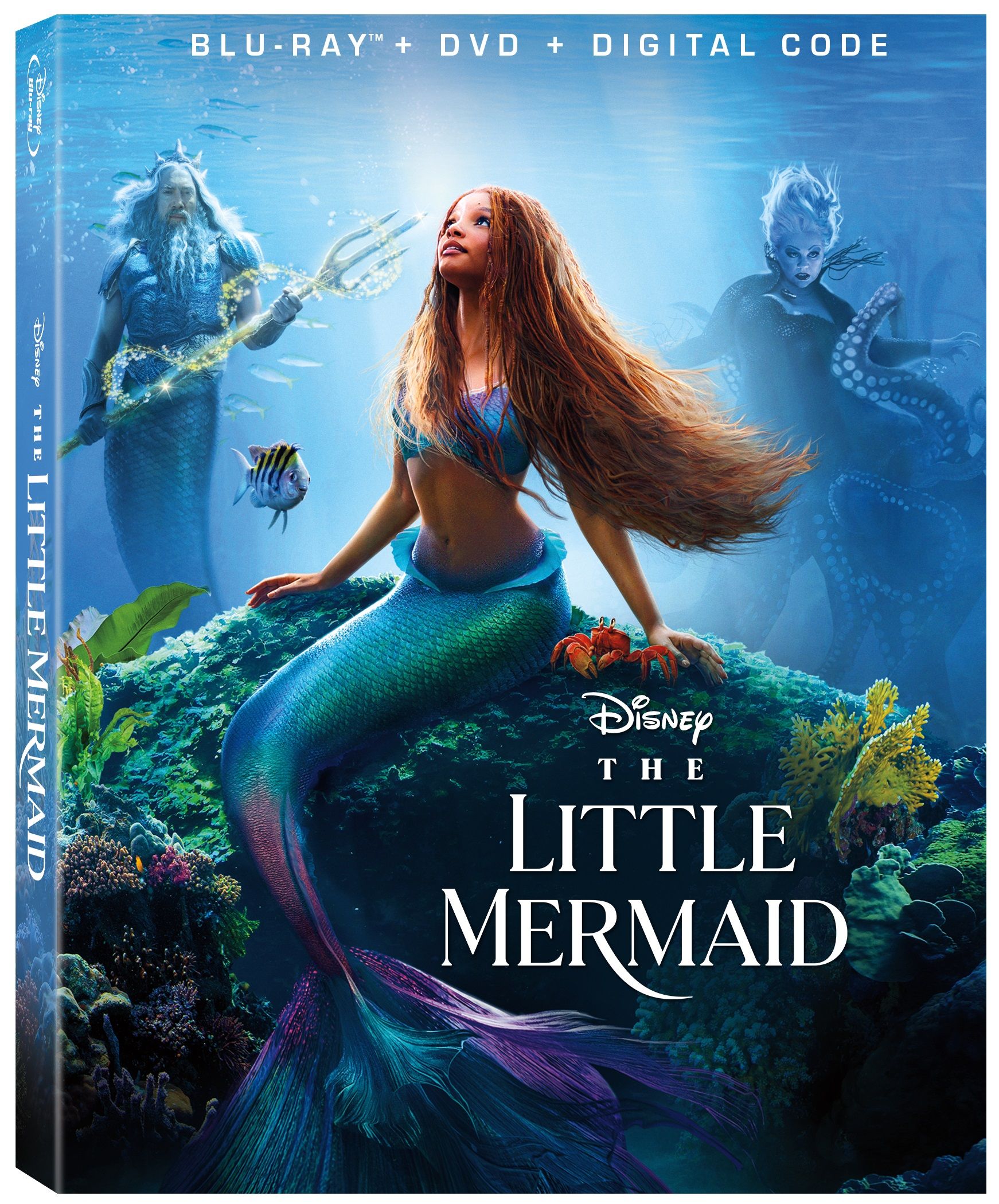 The Little Mermaid Bluray & DVD to Include All New Sing Along Version