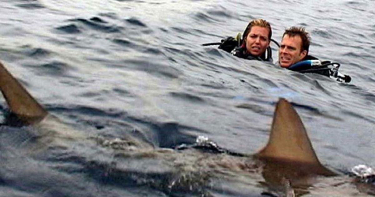 Dois personagens com tubarões em águas abertas