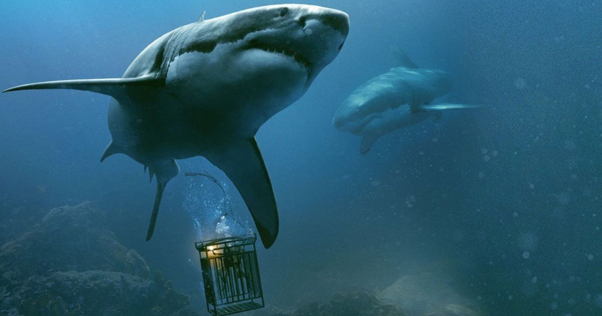 Best Movies to Watch During Shark Week