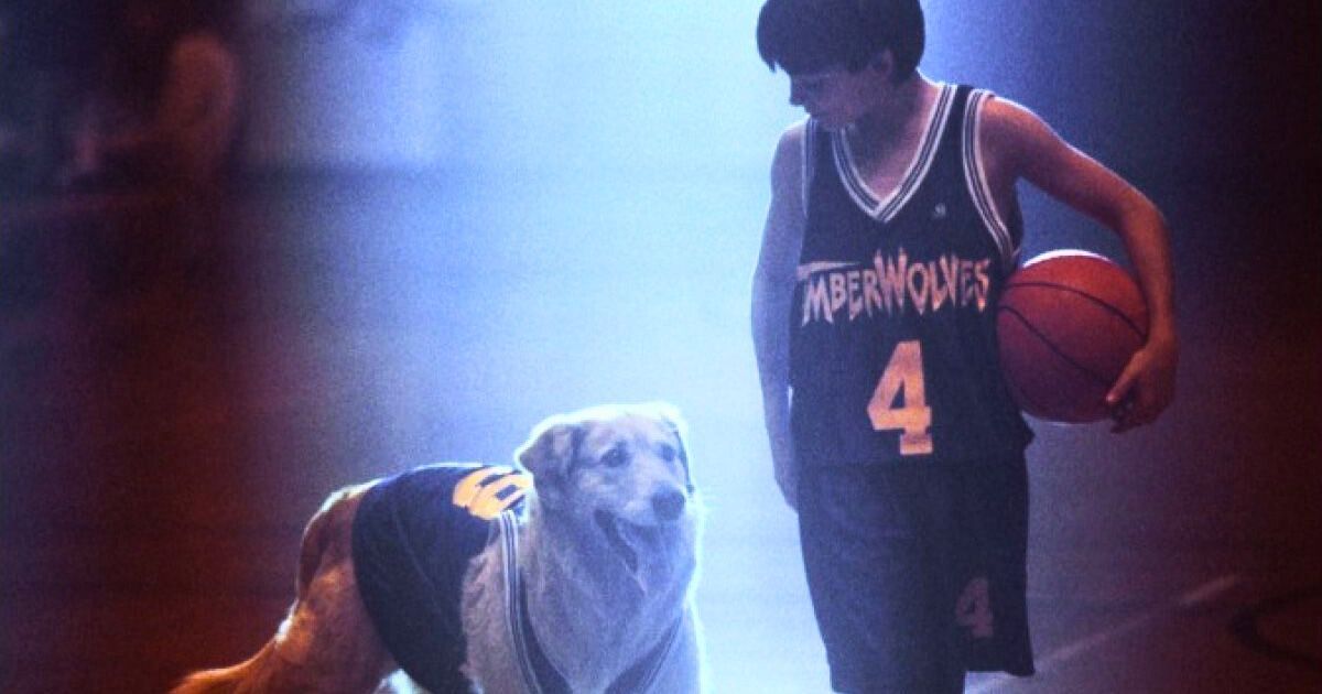 A scene from Air Bud (1997)