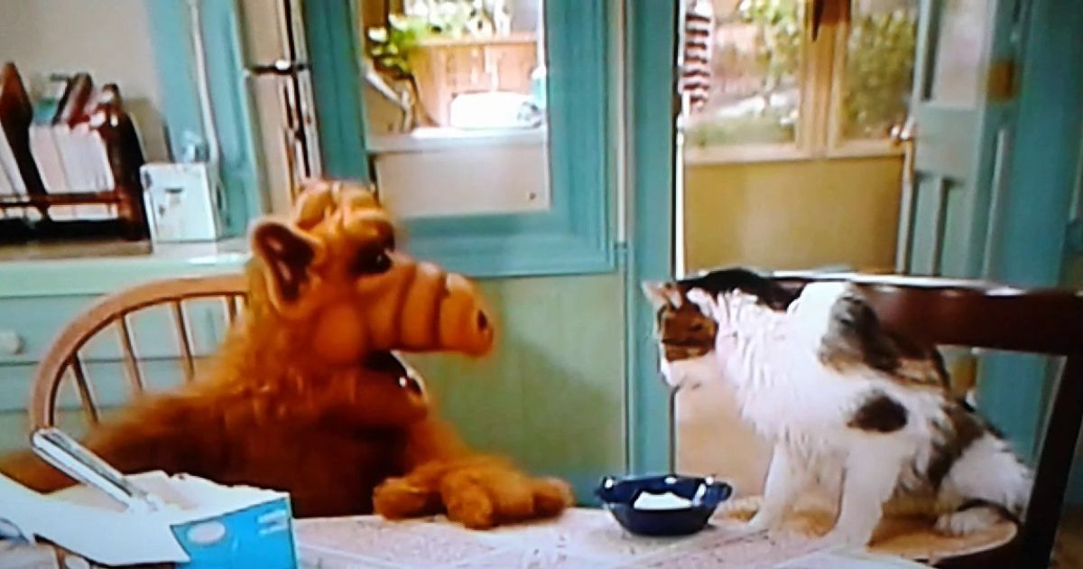 Alf e Lucky em ALF