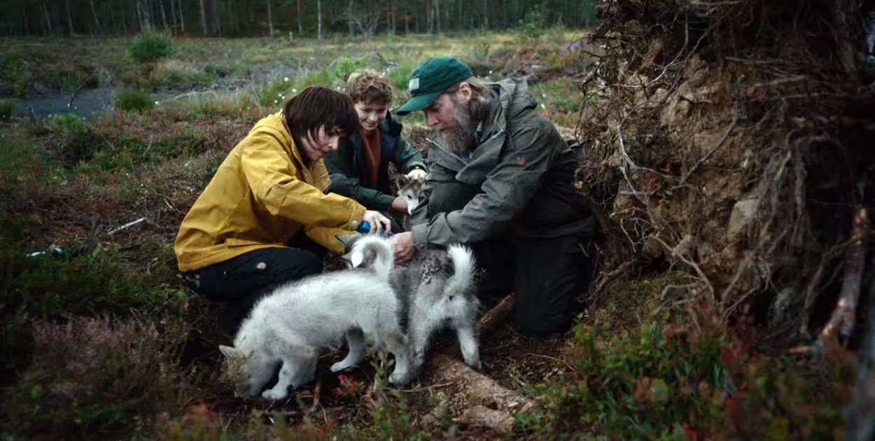 Série de TV Fenris no Viaplay