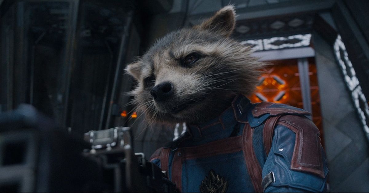 Rocket Raccoon in Guardians of the Galaxy vol.3 (3)