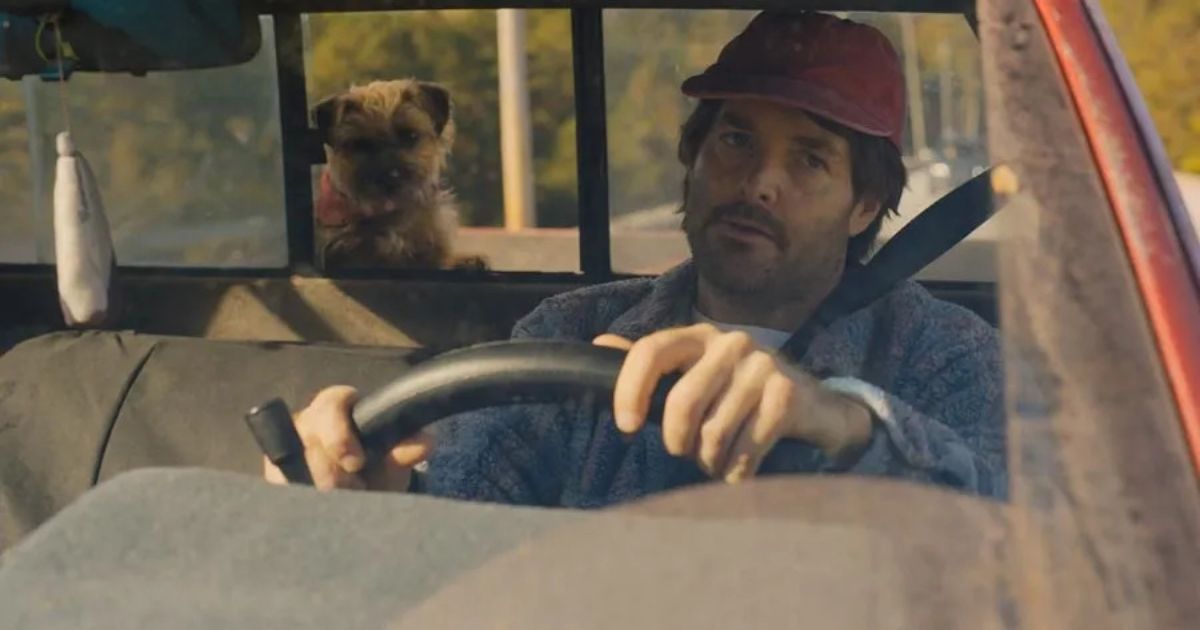 Strays Will Forte driving his car