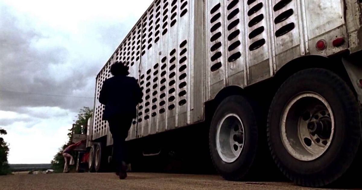 The ending of Texas Chainsaw Massacre (1974)