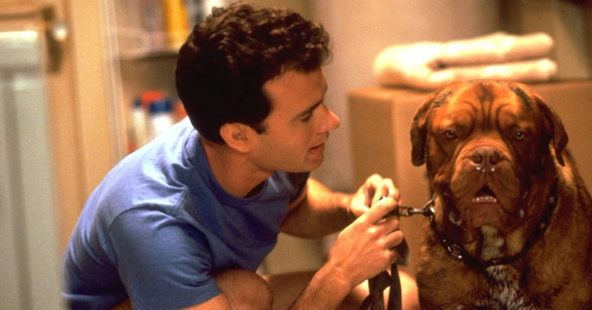 A scene from Turner & Hooch (1989)