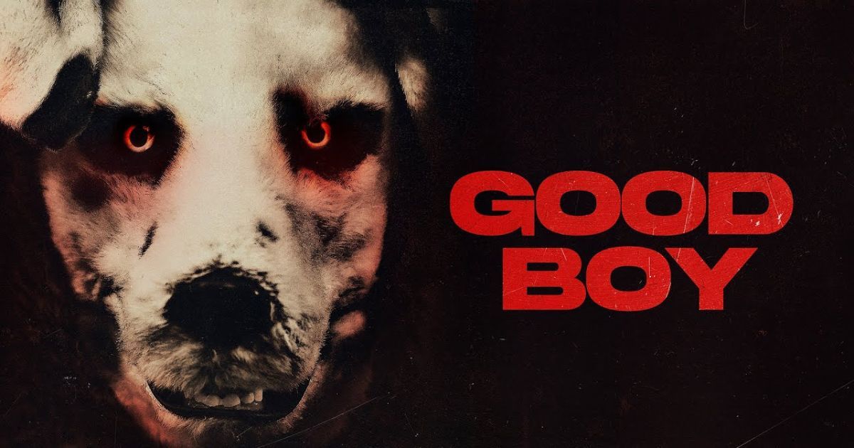 Good Boy: Most Thrilling Moments, Ranked