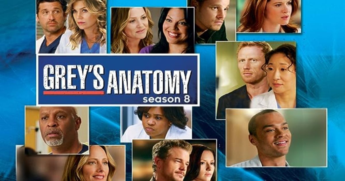 Grey's Anatomy season 8