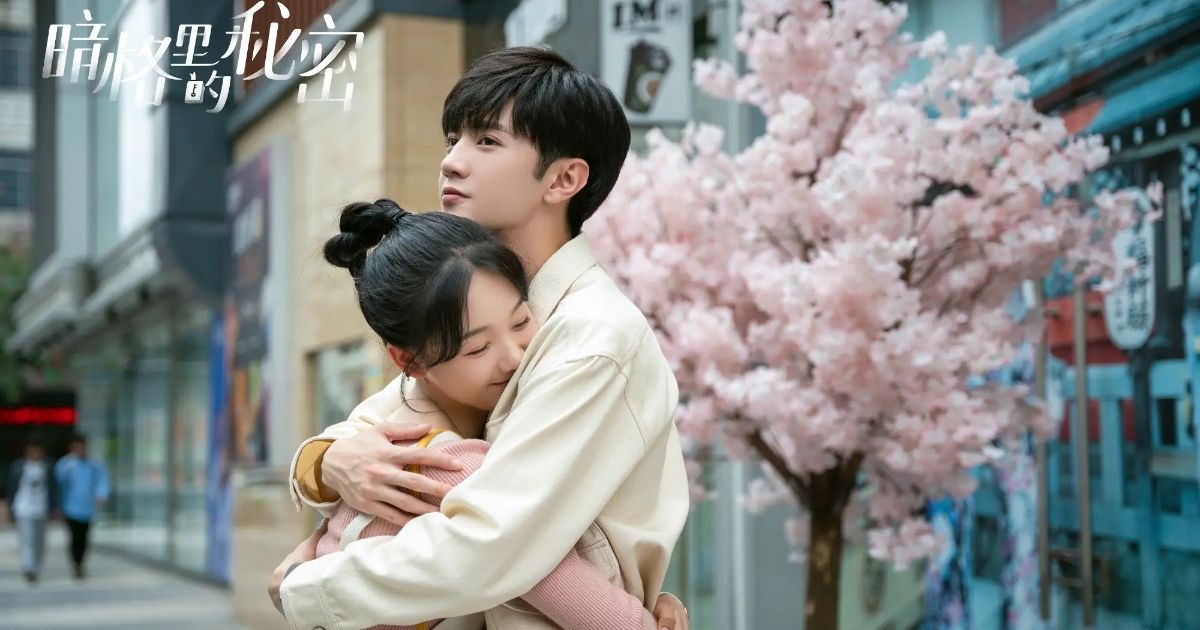 10 Chinese Dramas Like Hidden Love To Watch Next