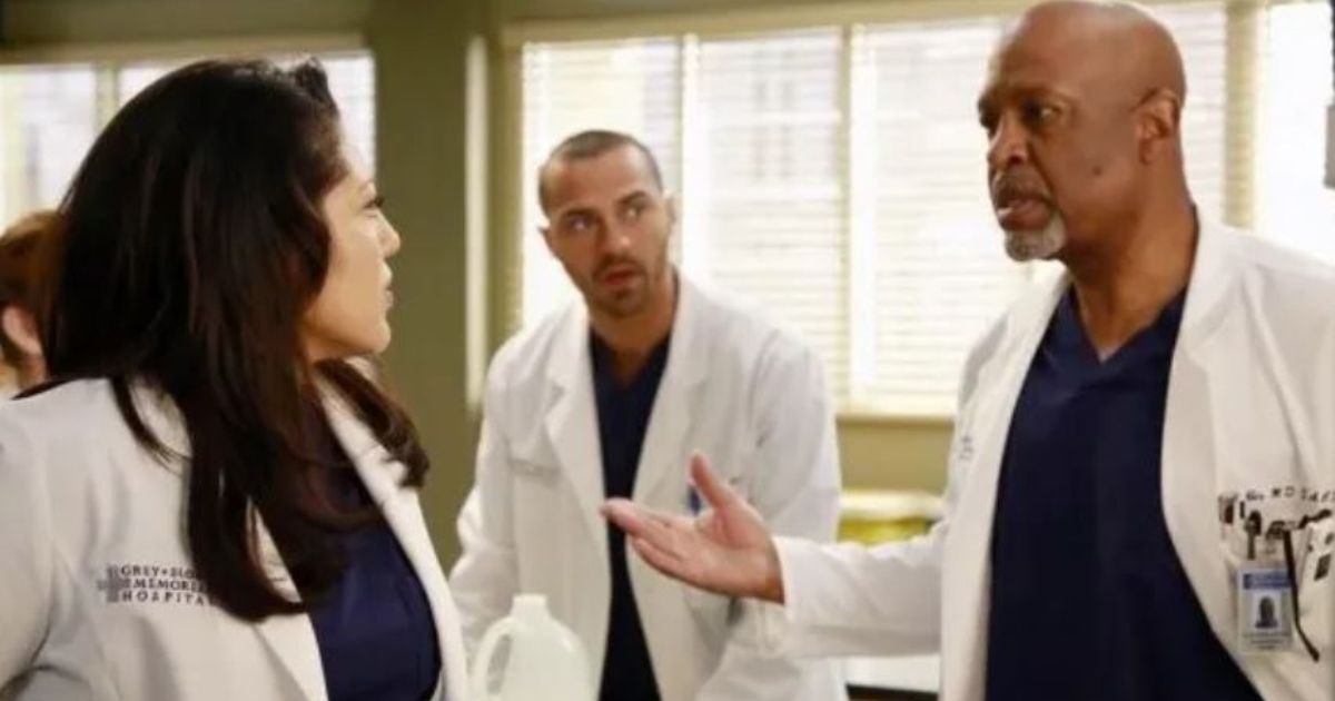Richard and Callie in Grey's Anatomy