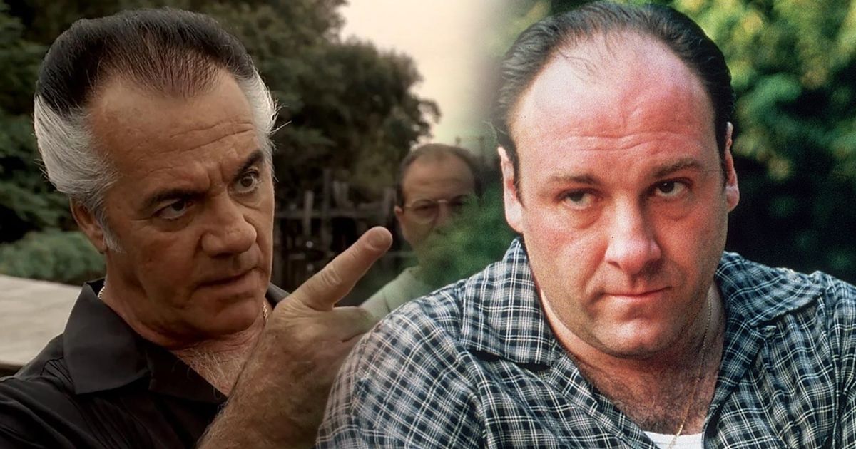 Split image of Paulie Walnuts and Tony Soprano from The Sopranos