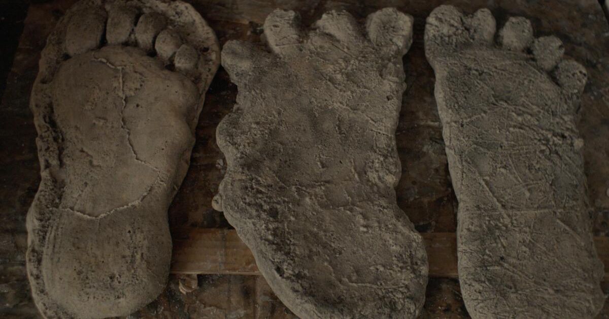 The 10 Best Bigfoot Documentaries of All Time
