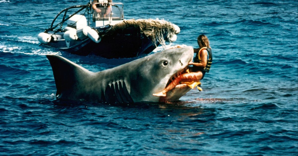 10 Ways Jaws The Revenge Is More Compelling Than You Remember