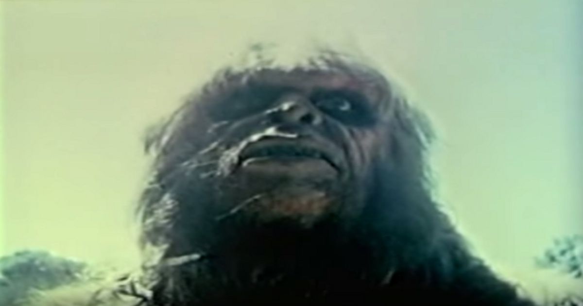 The 10 Best Bigfoot Documentaries of All Time