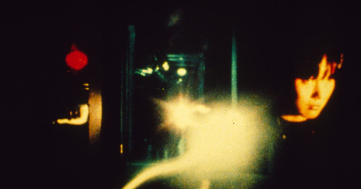 10 Best Short Films to Get Into Experimental Cinema