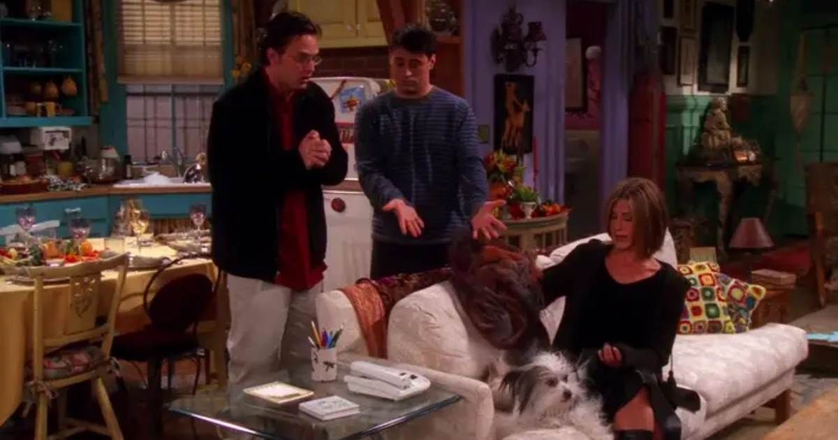 a dog lies on a couch with rachel in the friends episode The One Where Chandler Doesn't Like Dogs