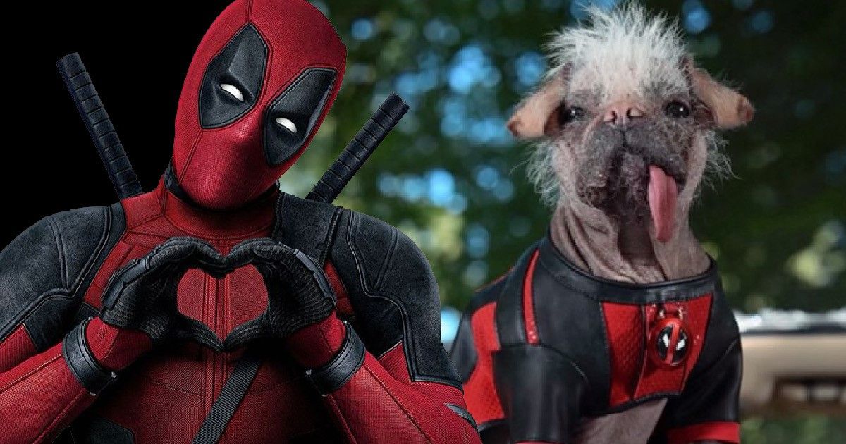An image of Ryan Reynolds as Deadpool making a heart shape with his hands in his black and red suit, with Dogpool next to him in a Dogpool outfit, with its tongue hanging out.