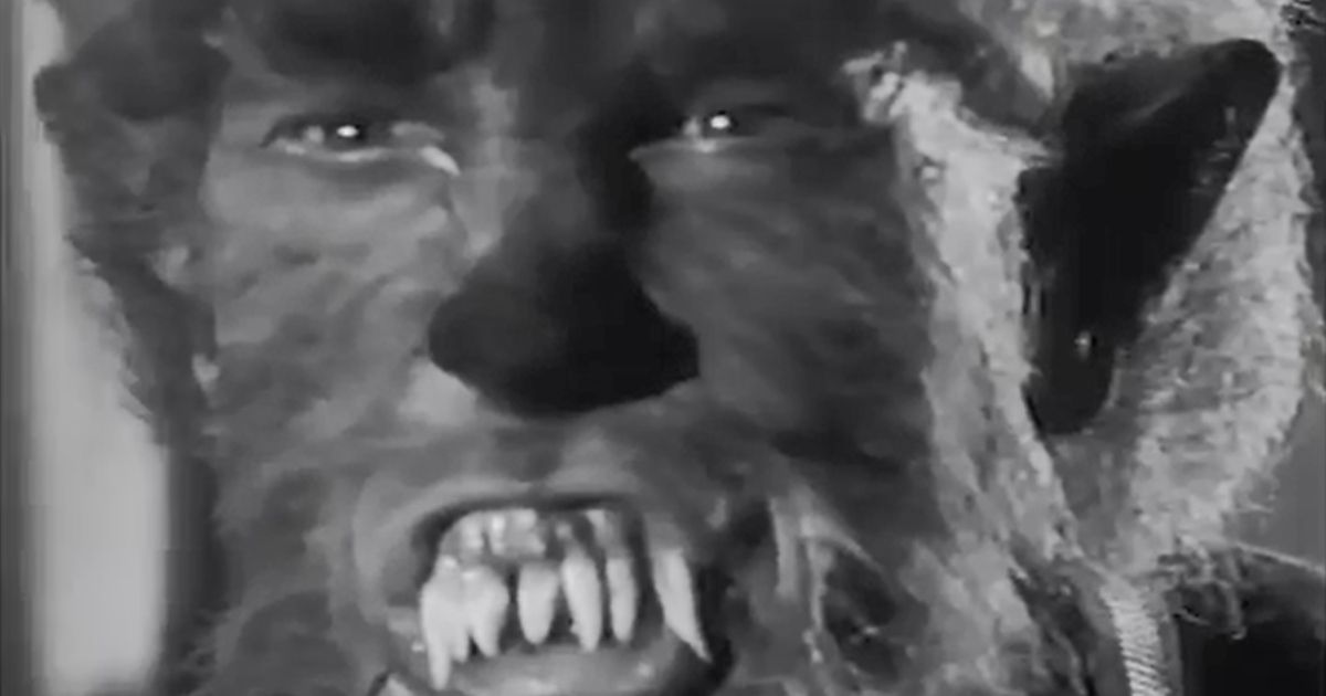 I Was a Teenage Werewolf
