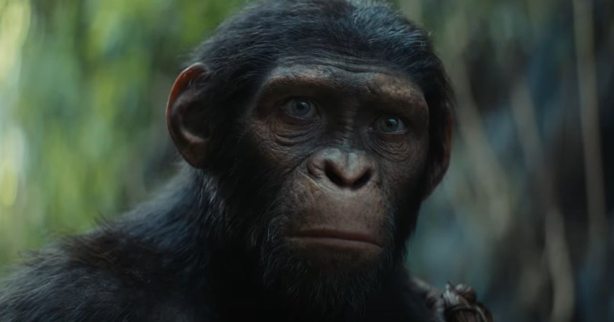 Still from Kingdom of the Planet of the Apes.