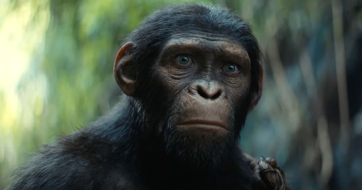 Kingdom of the Planet of the Apes Is Adventure Film With ‘A Little Bit of Star Wars,’ Director Reveals