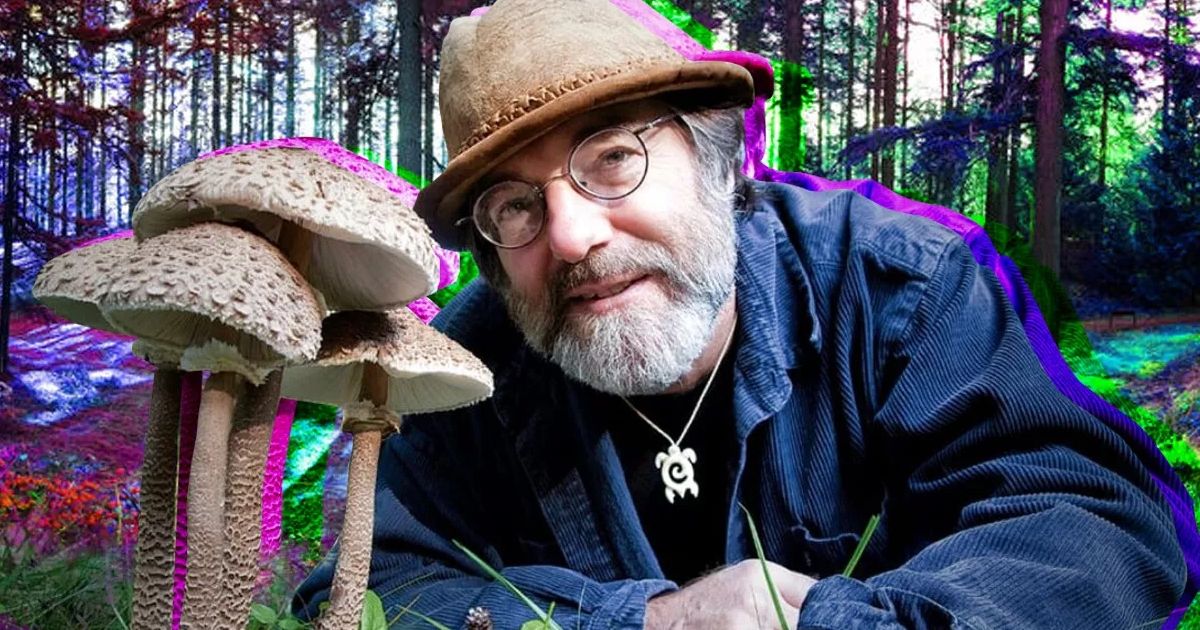 The 10 Best Films About Fungus (Psychedelic and Otherwise)