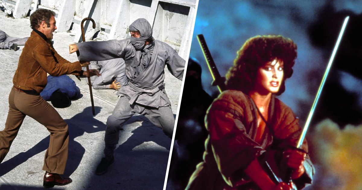 The Best Movies About Ninjas, Ranked