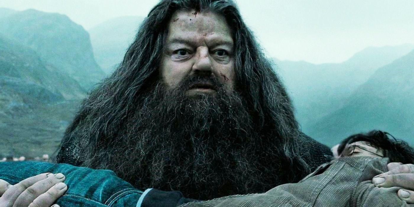 Hagrid looks devastated as he carries Harry's lifeless body
