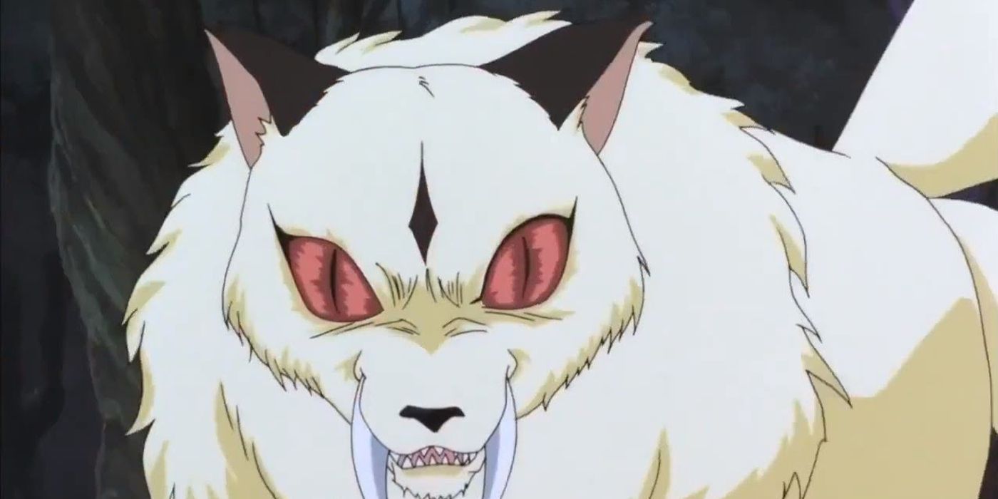 Kirara flashes fangs in Inuyasha