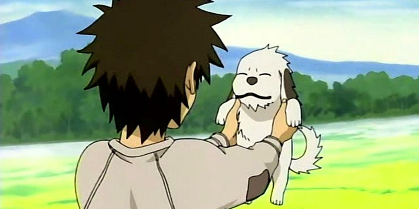 Kiba holds Akamaru in Naruto