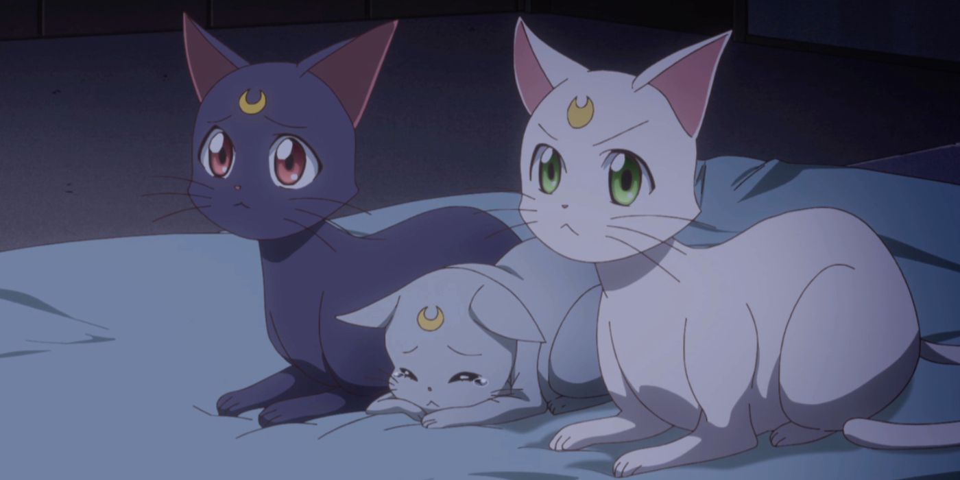 Luna, Diana, and Artemis sit together in Sailor Moon